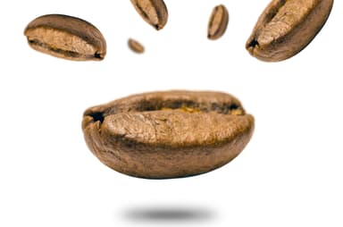 picture of coffee bean